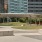 a park in front of a large city