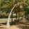 a park with trees and benches