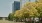 a group of trees in front of a tall building