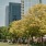 a group of trees in front of a tall building